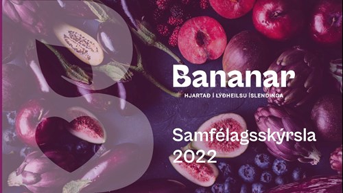 Samfélagsskýrsla Banana 2022